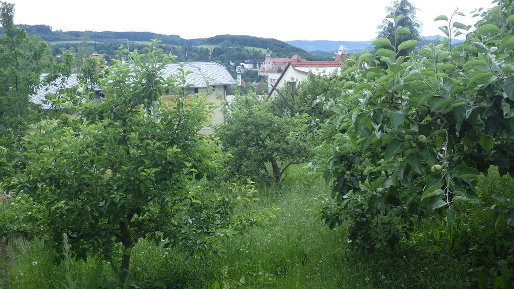 Ubytovani U Dolanskych Český Krumlov Eksteriør bilde